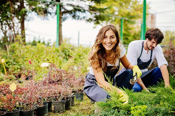 home gardener projects 4
